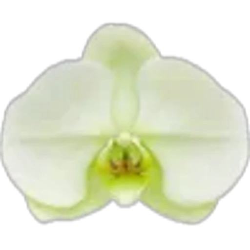 🤩 Эмодзи «Plants» для Telegram