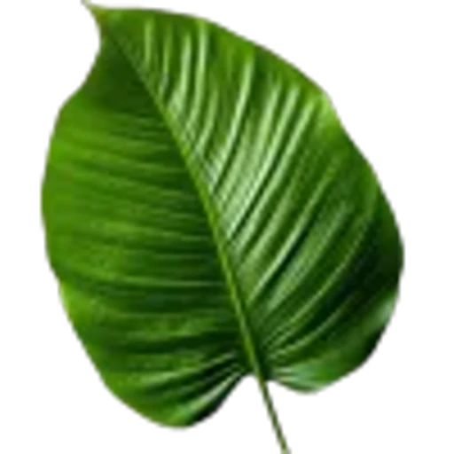 🤩 Эмодзи «Plants» для Telegram