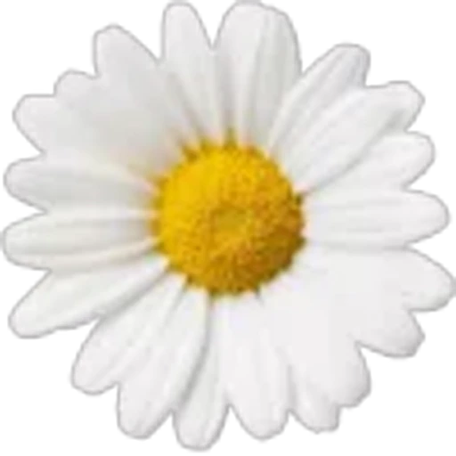 🤩 Эмодзи «Plants» для Telegram