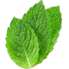 🤩 Эмодзи «Plants» для Telegram