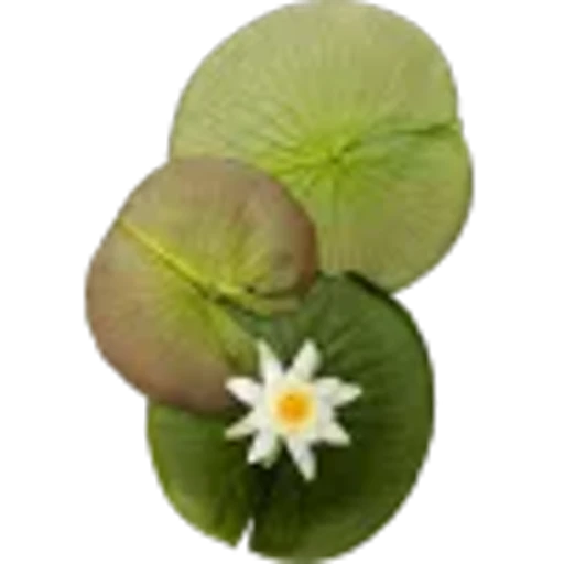 🤩 Эмодзи «Plants» для Telegram
