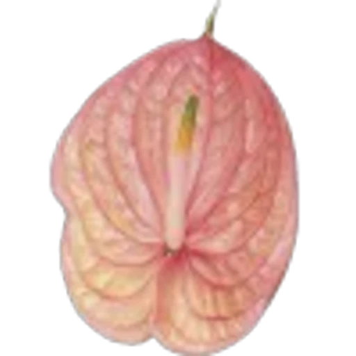 🤩 Эмодзи «Plants» для Telegram