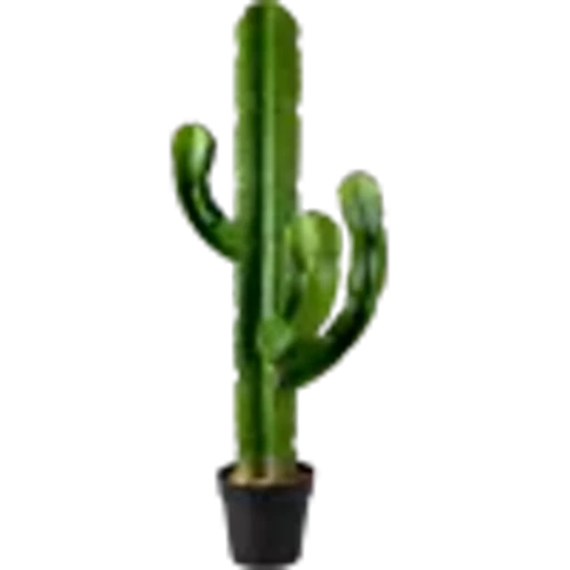 🤩 Эмодзи «Plants» для Telegram