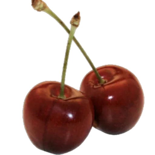 🍒 Стикер «aesthetic» для Telegram