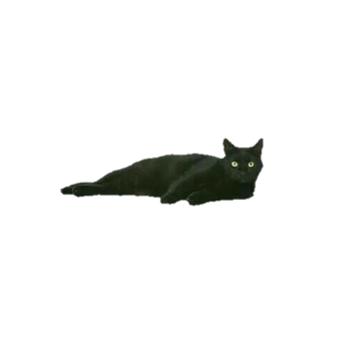 😺 Стикер «aesthetic» для Telegram