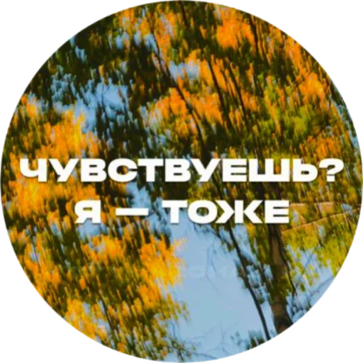 ❤️ Стикер «Красивые надписи» для Telegram