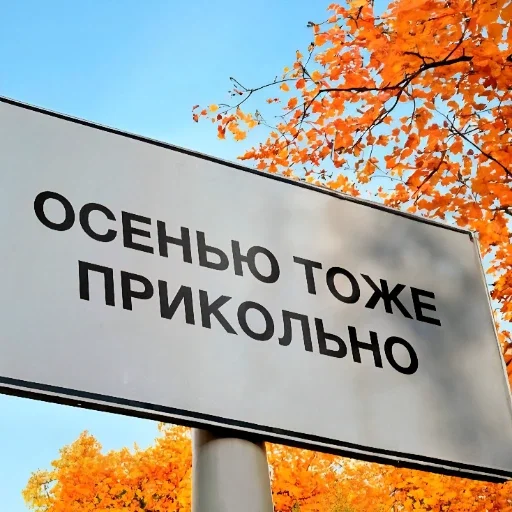 ❤️ Стикер «Красивые надписи» для Telegram