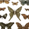 Стикер 13 Goblincore