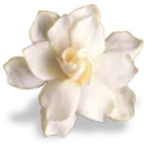 🤩 Эмодзи «Aesthetics» для Telegram