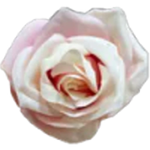 🤩 Эмодзи «Aesthetics» для Telegram