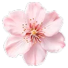 🌺 Эмодзи «Буквы, цветы, иконки» для Telegram