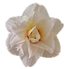 🌸 Эмодзи «Буквы, цветы, иконки» для Telegram