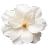 🌷 Эмодзи «Буквы, цветы, иконки» для Telegram