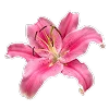 🌺 Эмодзи «Буквы, цветы, иконки» для Telegram