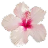 🌺 Эмодзи «Буквы, цветы, иконки» для Telegram
