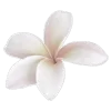 🌷 Эмодзи «Буквы, цветы, иконки» для Telegram
