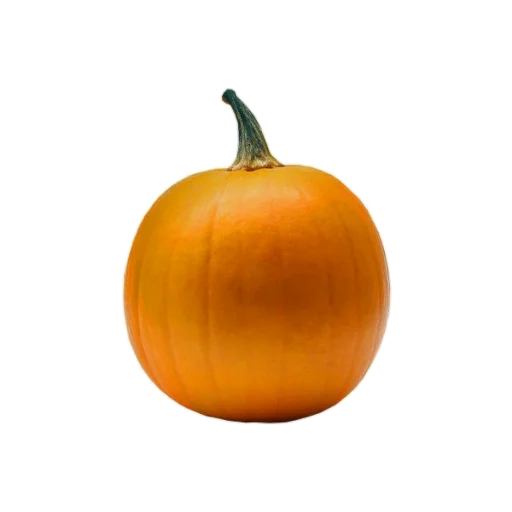🎃 Стикер «aesthetics» для Telegram