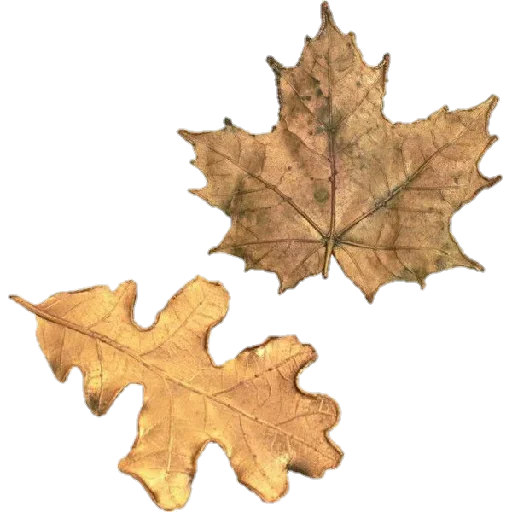 🍁 Стикер «Aesthetic stickers» для Telegram