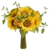 🌻 Эмодзи «AESTHYELLOW» для Telegram