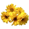 🌼 Эмодзи «AESTHYELLOW» для Telegram
