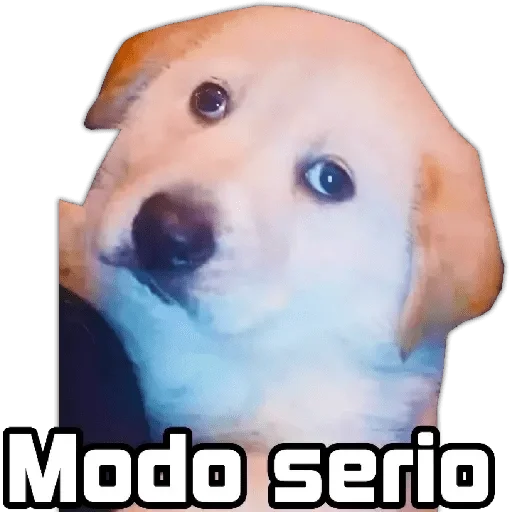 🌟 Стикер «Afios Orolo» для Telegram