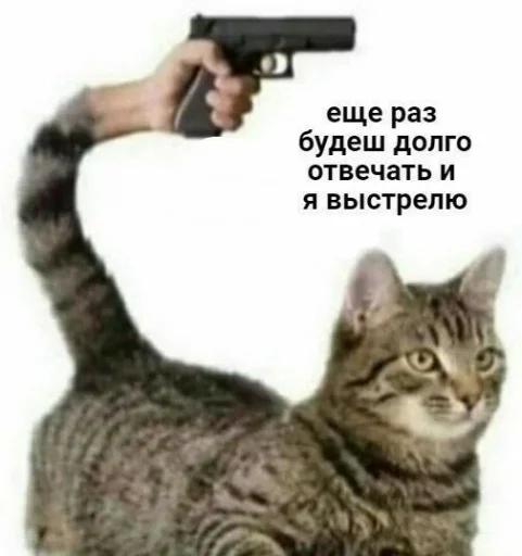 🔫 Стикер «Df mem pack» для Telegram