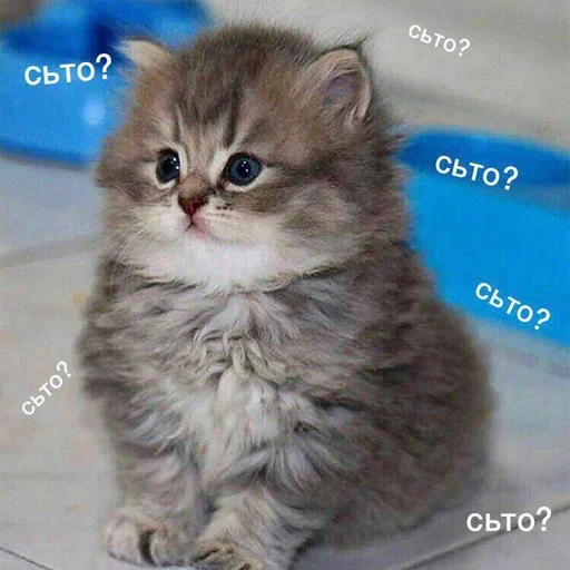 😕 Стикер «Purpose» для Telegram
