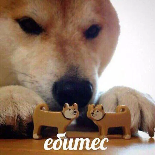 😗 Стикер «Purpose» для Telegram