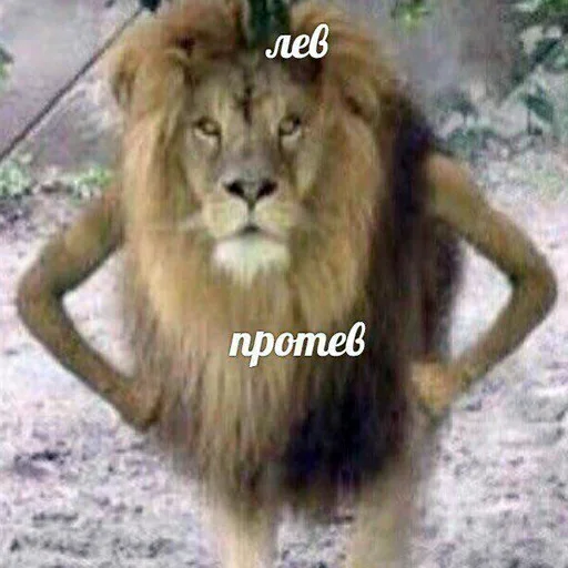 😌 Стикер «Purpose» для Telegram