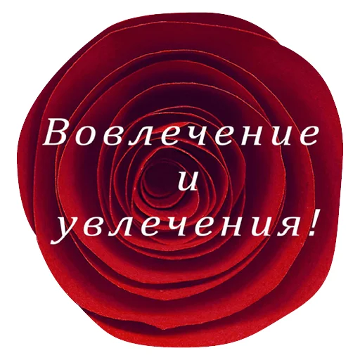 🌹 Стикер «Агитация за искусство» для Telegram