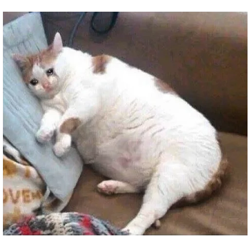 😭 Стикер «Agresti&;s Meme» для Telegram