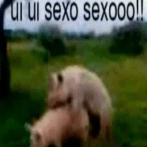 🐖 Стикер «А̴̕х̸͌ААХАХАХАХ» для Telegram