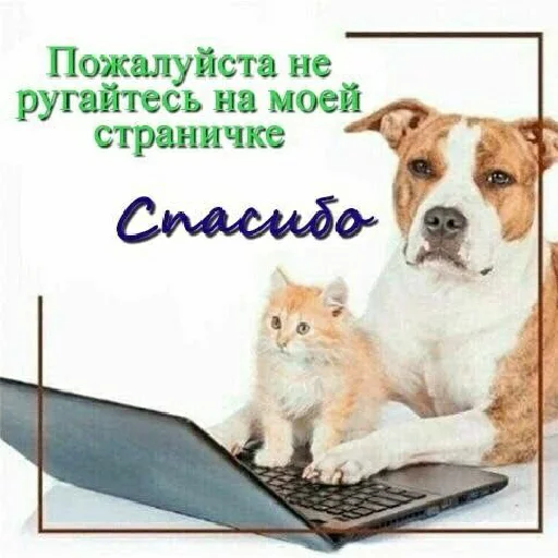 🙏 Стикер «А̴̕х̸͌ААХАХАХАХ» для Telegram