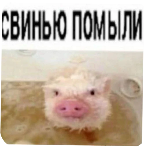 🤲 Стикер «лелеле» для Telegram
