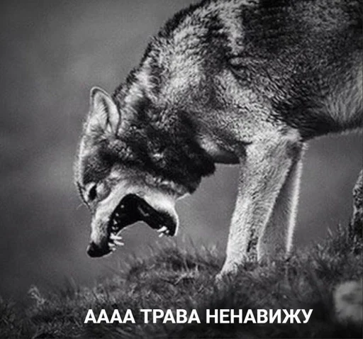 👊 Стикер «лелеле» для Telegram
