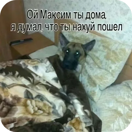 🐱 Стикер «лелеле» для Telegram