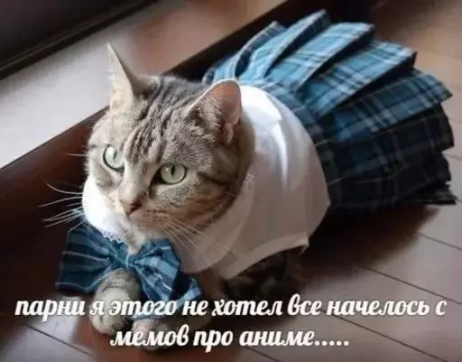 🥲 Стикер «Антианиме» для Telegram