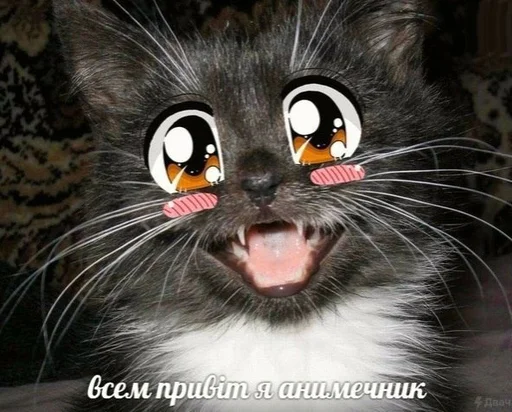 😊 Стикер «Антианиме» для Telegram