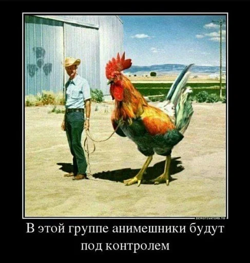 😡 Стикер «Антианиме» для Telegram