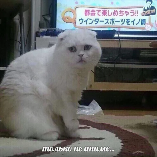 😢 Стикер «Антианиме» для Telegram