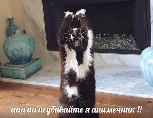 😱 Стикер «Антианиме» для Telegram