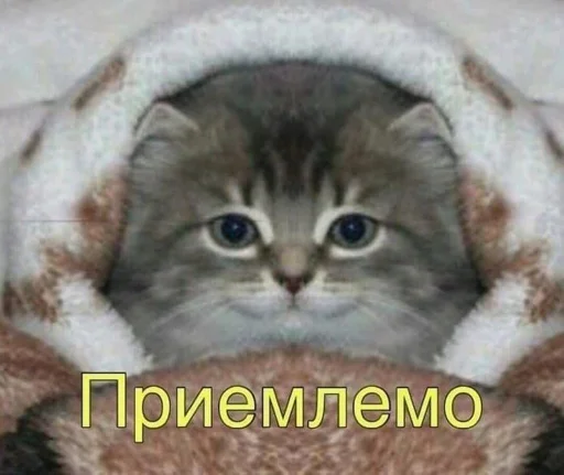 😫 Стикер «АХТУНГ!!» для Telegram