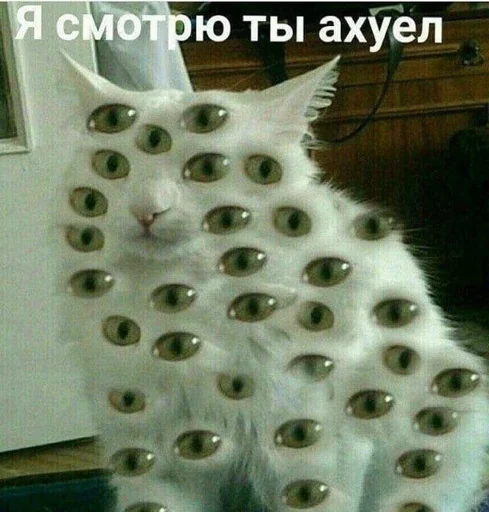 😒 Стикер «АХТУНГ!!» для Telegram