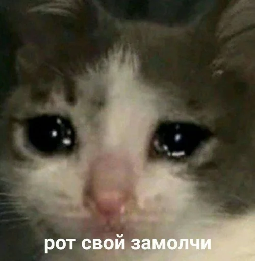 😣 Стикер «АХТУНГ!!» для Telegram