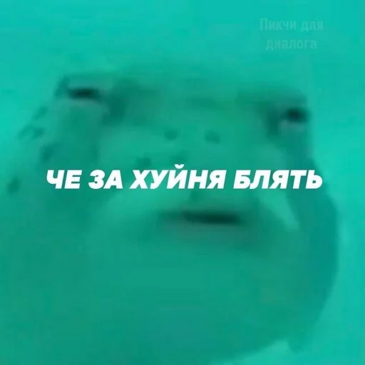 😶 Стикер «АХТУНГ!!» для Telegram