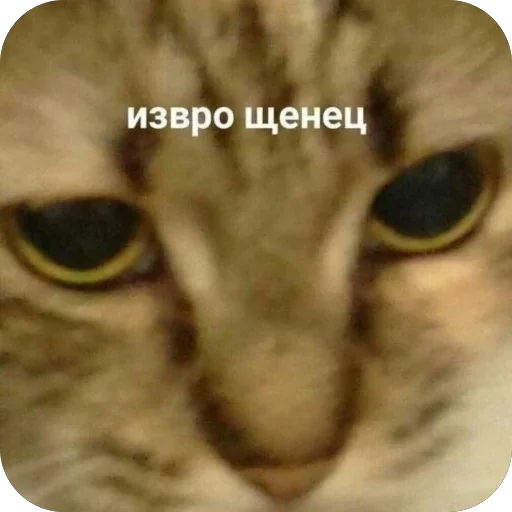 🫥 Стикер «ахуйнез edition» для Telegram