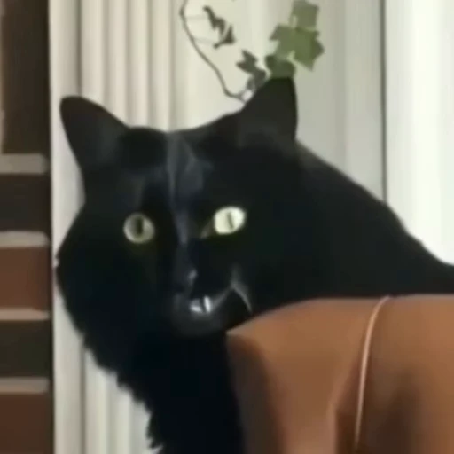 😸 Стикер «ахуйнез edition» для Telegram