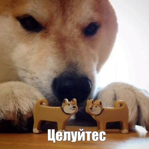 💋 Стикер «ахуйнез edition» для Telegram