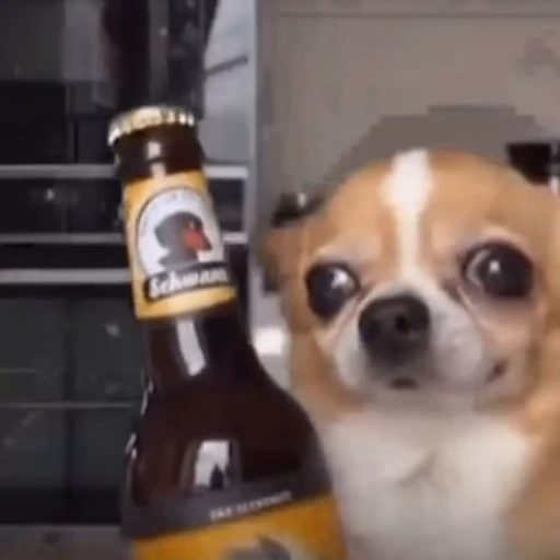 🍺 Стикер «ахуйнез edition» для Telegram