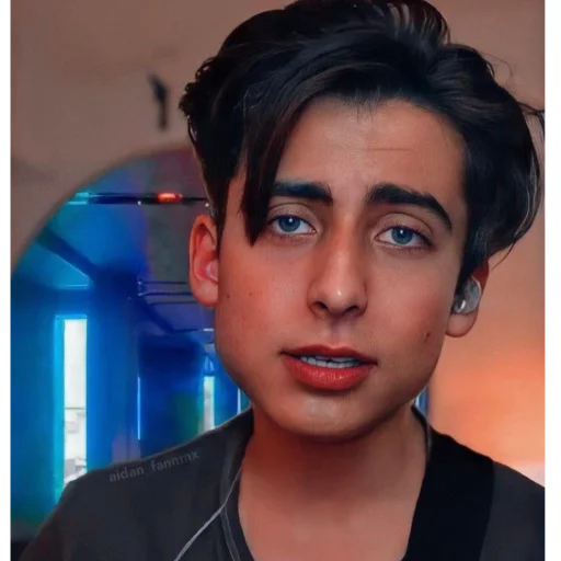 😓 Стикер «Aidan Gallagher» для Telegram